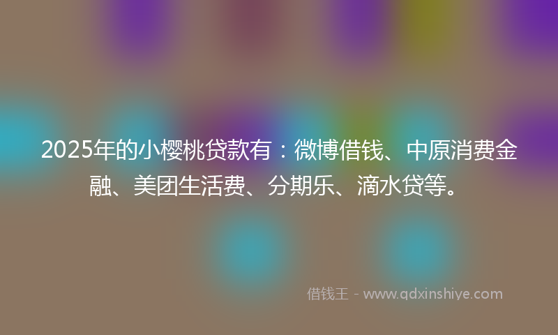 2025年的小樱桃贷款有：微博借钱、中原消费金融、美团生活费、分期乐、滴水贷等。