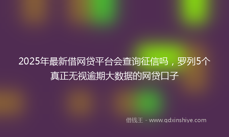 2025年最新借网贷平台会查询征信吗，罗列5个真正无视逾期大数据的网贷口子