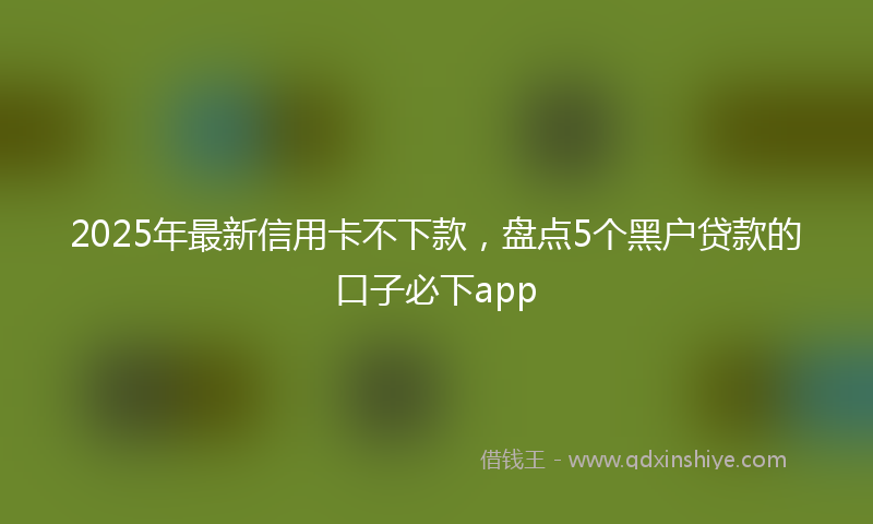 2025年最新信用卡不下款，盘点5个黑户贷款的口子必下app