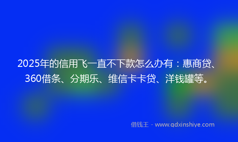2025年的信用飞一直不下款怎么办有：惠商贷、360借条、分期乐、维信卡卡贷、洋钱罐等。