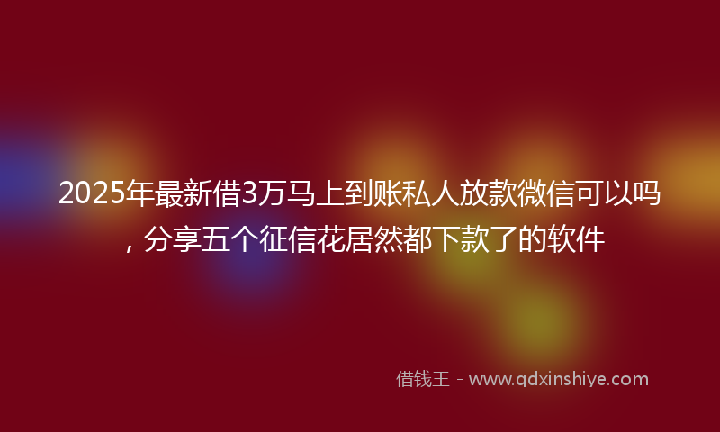 2025年最新借3万马上到账私人放款微信可以吗，分享五个征信花居然都下款了的软件