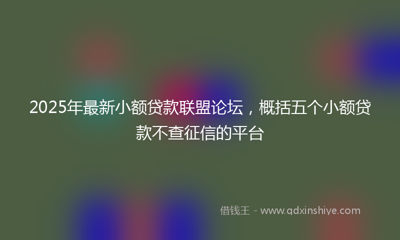 2025年最新小额贷款联盟论坛，概括五个小额贷款不查征信的平台