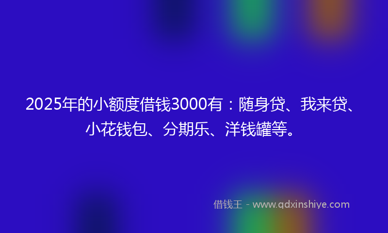 2025年的小额度借钱3000有：随身贷、我来贷、小花钱包、分期乐、洋钱罐等。