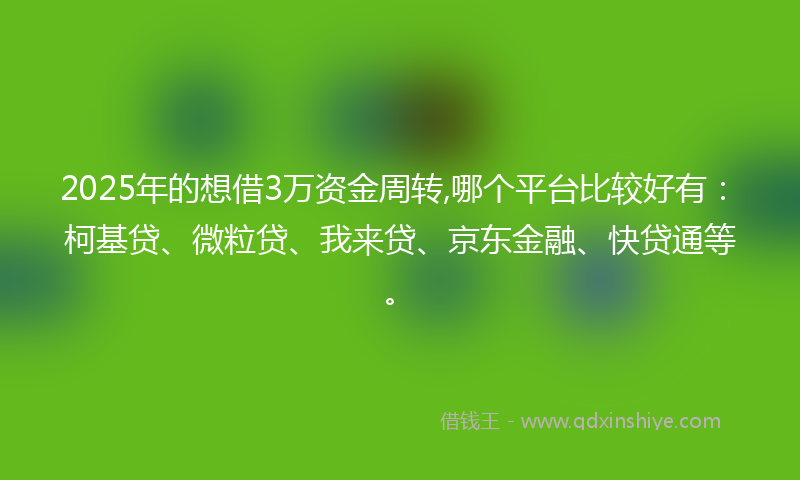 2025年的想借3万资金周转,哪个平台比较好有：柯基贷、微粒贷、我来贷、京东金融、快贷通等。