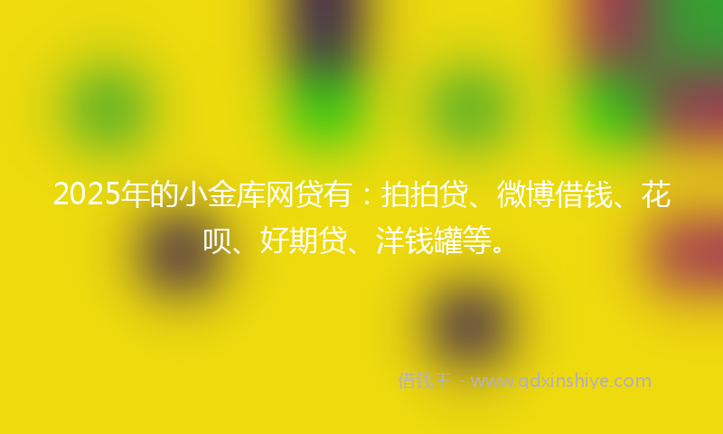2025年的小金库网贷有：拍拍贷、微博借钱、花呗、好期贷、洋钱罐等。
