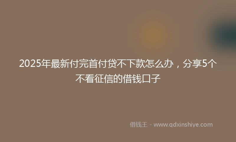 2025年最新付完首付贷不下款怎么办，分享5个不看征信的借钱口子