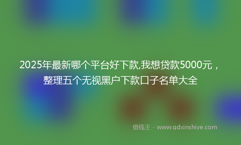 2025年最新哪个平台好下款,我想贷款5000元，整理五个无视黑户下款口子名单大全