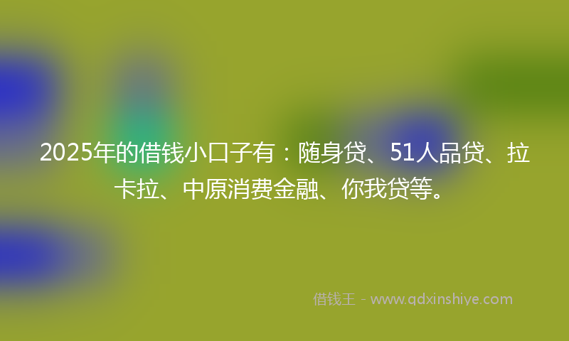 2025年的借钱小口子有：随身贷、51人品贷、拉卡拉、中原消费金融、你我贷等。