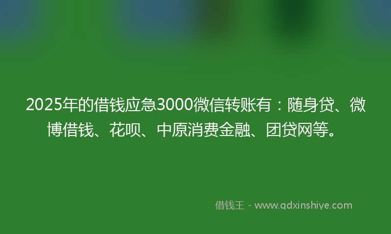 2025年的借钱应急3000微信转账有：随身贷、微博借钱、花呗、中原消费金融、团贷网等。