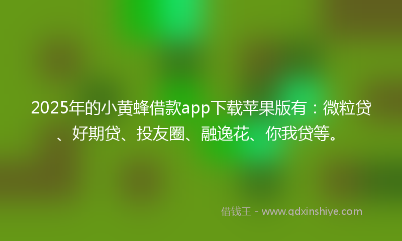 2025年的小黄蜂借款app下载苹果版有：微粒贷、好期贷、投友圈、融逸花、你我贷等。
