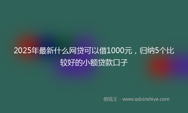 2025年最新什么网贷可以借1000元，归纳5个比较好的小额贷款口子