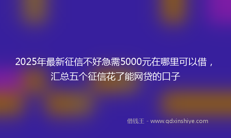 2025年最新征信不好急需5000元在哪里可以借，汇总五个征信花了能网贷的口子