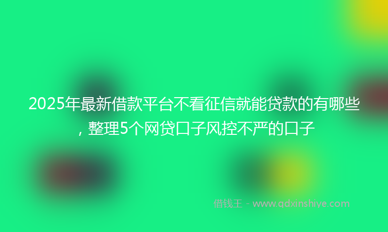 2025年最新借款平台不看征信就能贷款的有哪些，整理5个网贷口子风控不严的口子