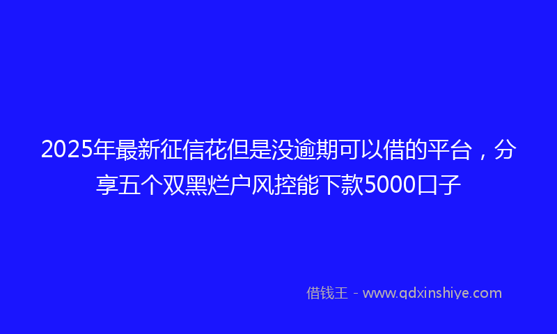 2025年最新征信花但是没逾期可以借的平台，分享五个双黑烂户风控能下款5000口子