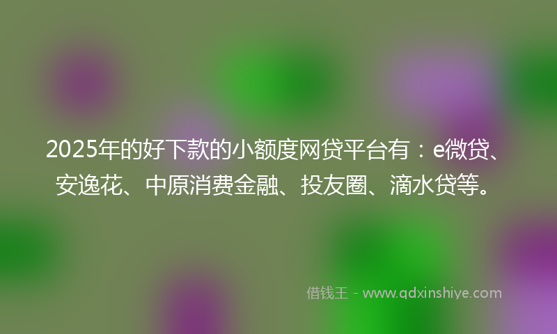2025年的好下款的小额度网贷平台有：e微贷、安逸花、中原消费金融、投友圈、滴水贷等。
