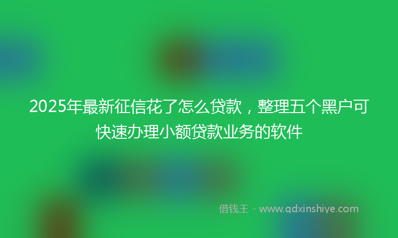 2025年最新征信花了怎么贷款，整理五个黑户可快速办理小额贷款业务的软件