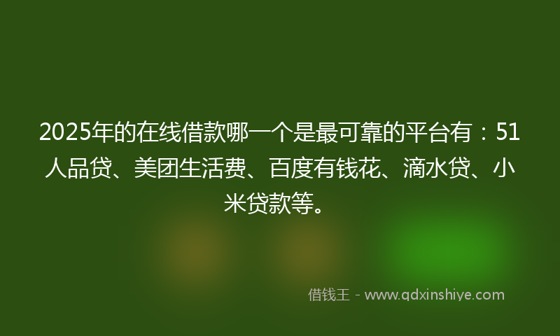 2025年的在线借款哪一个是最可靠的平台有：51人品贷、美团生活费、百度有钱花、滴水贷、小米贷款等。