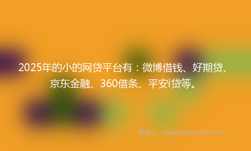 2025年的小的网贷平台有：微博借钱、好期贷、京东金融、360借条、平安i贷等。