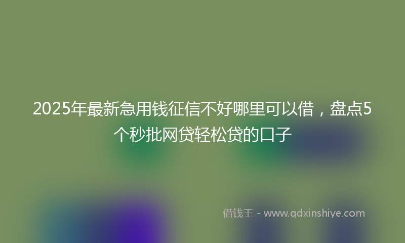 2025年最新急用钱征信不好哪里可以借，盘点5个秒批网贷轻松贷的口子