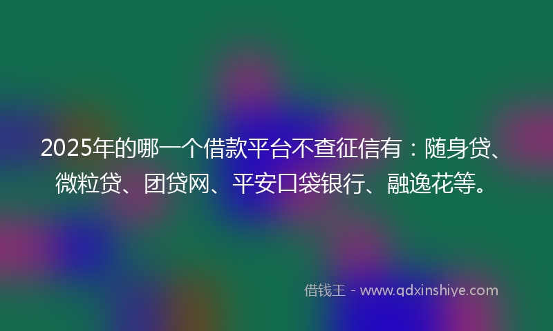 2025年的哪一个借款平台不查征信有：随身贷、微粒贷、团贷网、平安口袋银行、融逸花等。