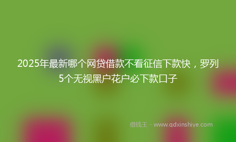 2025年最新哪个网贷借款不看征信下款快，罗列5个无视黑户花户必下款口子