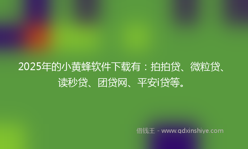 2025年的小黄蜂软件下载有：拍拍贷、微粒贷、读秒贷、团贷网、平安i贷等。