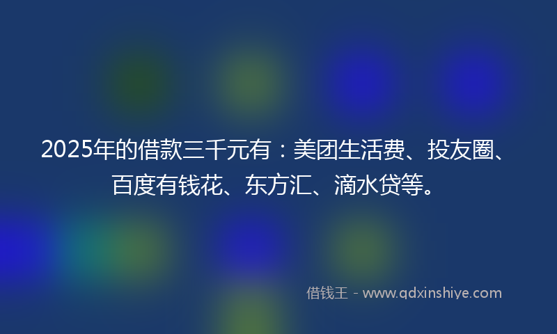 2025年的借款三千元有：美团生活费、投友圈、百度有钱花、东方汇、滴水贷等。
