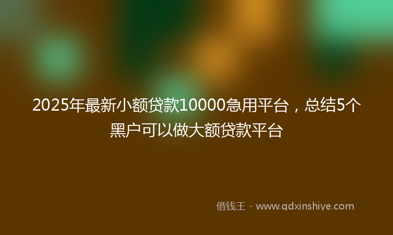 2025年最新小额贷款10000急用平台，总结5个黑户可以做大额贷款平台