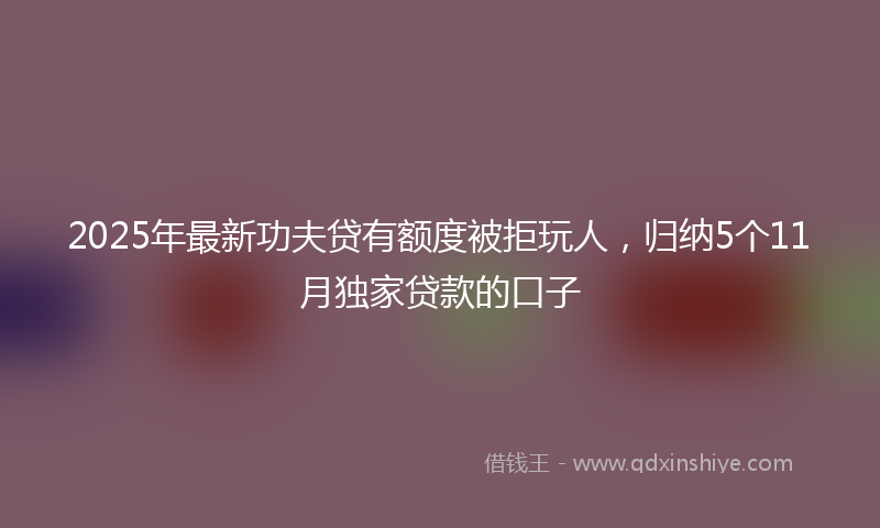 2025年最新功夫贷有额度被拒玩人，归纳5个11月独家贷款的口子