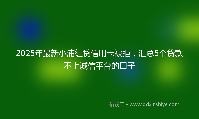 2025年最新小浦红贷信用卡被拒，汇总5个贷款不上诚信平台的口子