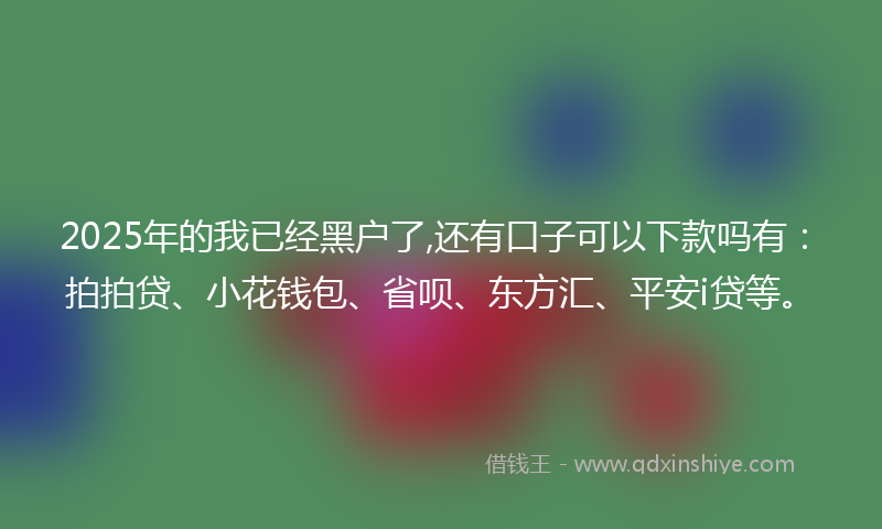 2025年的我已经黑户了,还有口子可以下款吗有：拍拍贷、小花钱包、省呗、东方汇、平安i贷等。