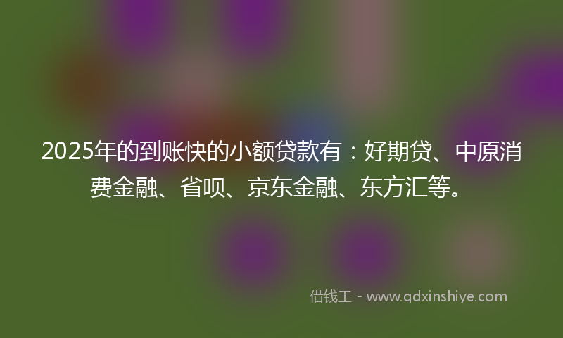 2025年的到账快的小额贷款有：好期贷、中原消费金融、省呗、京东金融、东方汇等。