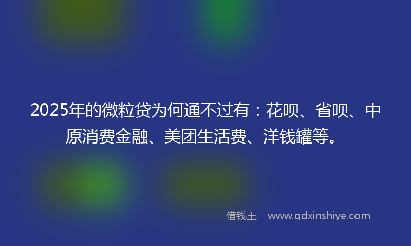 2025年的微粒贷为何通不过有：花呗、省呗、中原消费金融、美团生活费、洋钱罐等。
