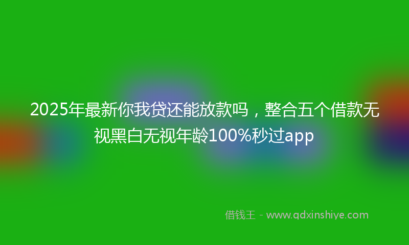 2025年最新你我贷还能放款吗，整合五个借款无视黑白无视年龄100%秒过app