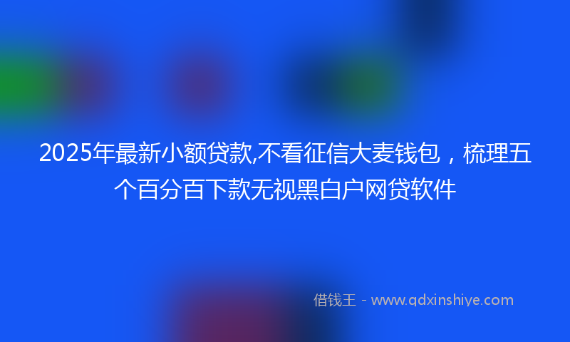 2025年最新小额贷款,不看征信大麦钱包，梳理五个百分百下款无视黑白户网贷软件
