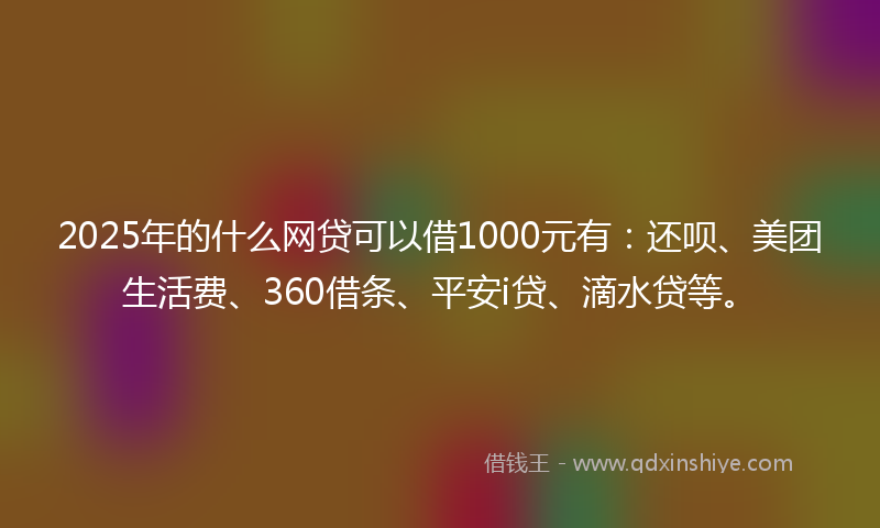 2025年的什么网贷可以借1000元有：还呗、美团生活费、360借条、平安i贷、滴水贷等。
