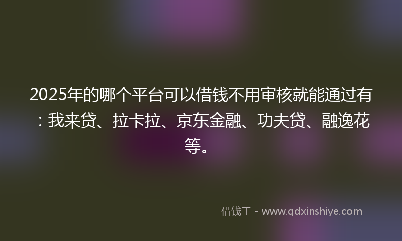 2025年的哪个平台可以借钱不用审核就能通过有：我来贷、拉卡拉、京东金融、功夫贷、融逸花等。