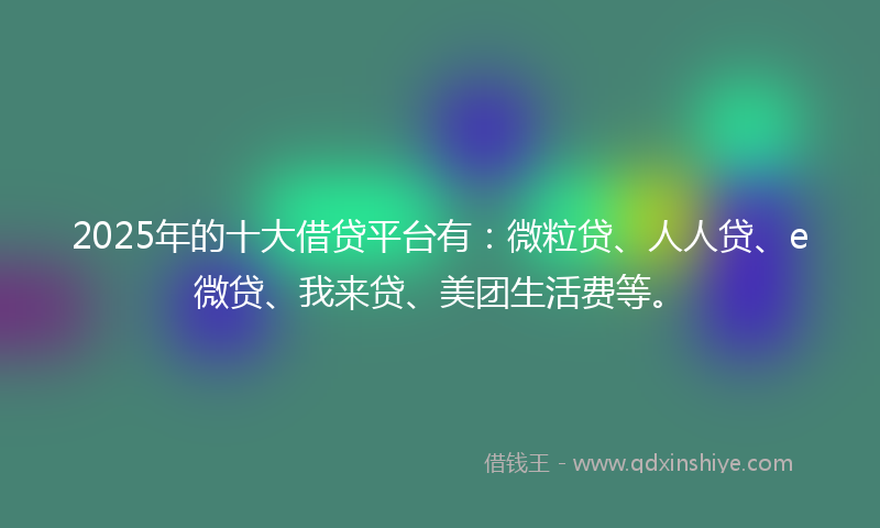 2025年的十大借贷平台有：微粒贷、人人贷、e微贷、我来贷、美团生活费等。
