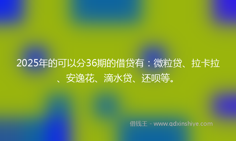 2025年的可以分36期的借贷有：微粒贷、拉卡拉、安逸花、滴水贷、还呗等。
