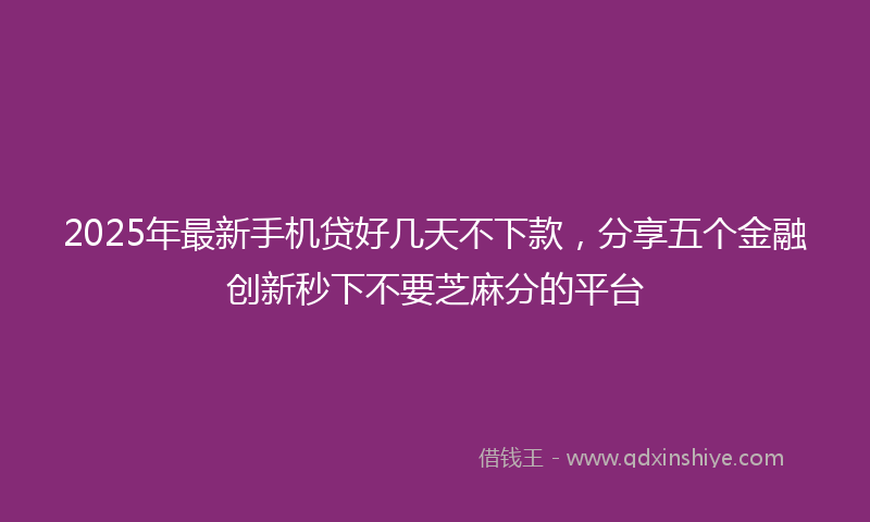 2025年最新手机贷好几天不下款，分享五个金融创新秒下不要芝麻分的平台