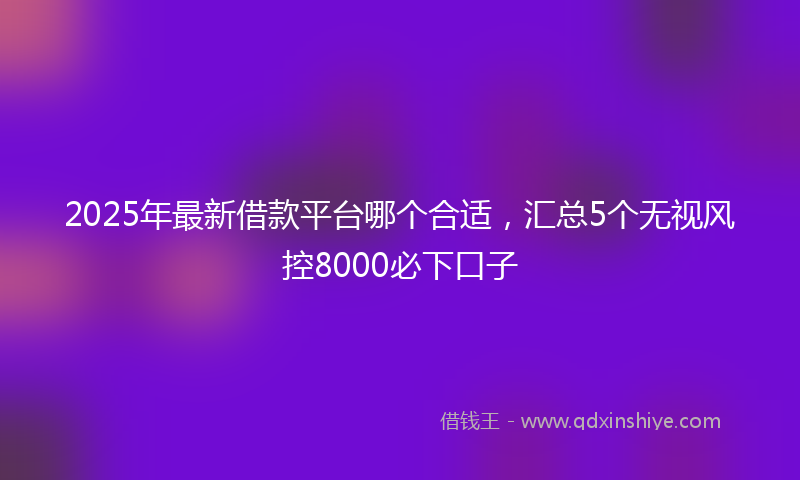 2025年最新借款平台哪个合适，汇总5个无视风控8000必下口子
