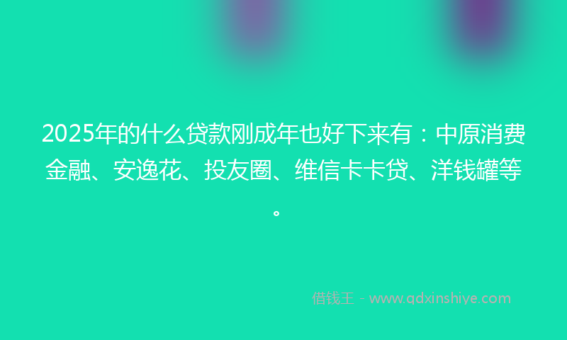 2025年的什么贷款刚成年也好下来有：中原消费金融、安逸花、投友圈、维信卡卡贷、洋钱罐等。