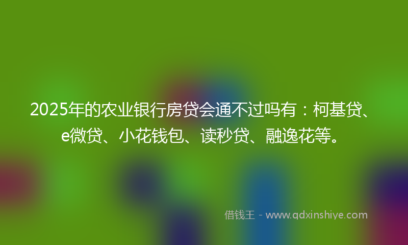 2025年的农业银行房贷会通不过吗有：柯基贷、e微贷、小花钱包、读秒贷、融逸花等。