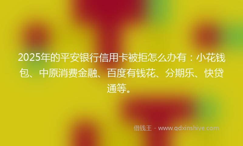 2025年的平安银行信用卡被拒怎么办有：小花钱包、中原消费金融、百度有钱花、分期乐、快贷通等。