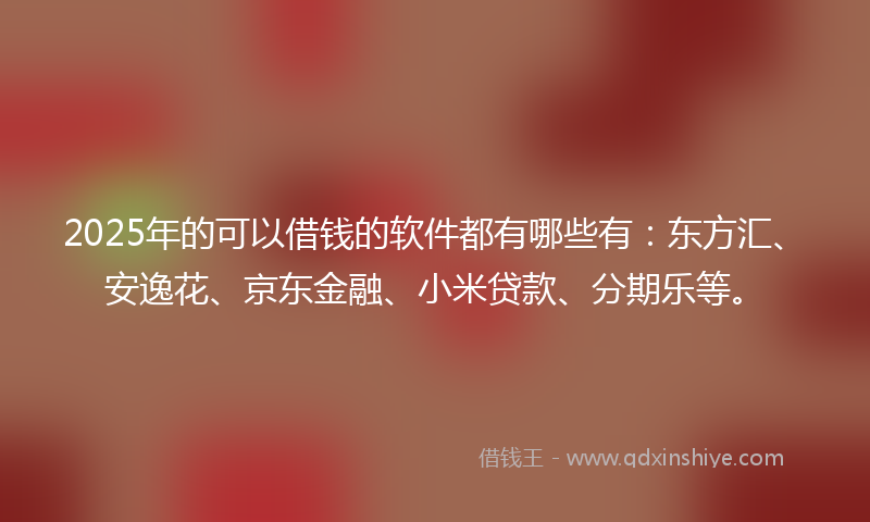2025年的可以借钱的软件都有哪些有：东方汇、安逸花、京东金融、小米贷款、分期乐等。