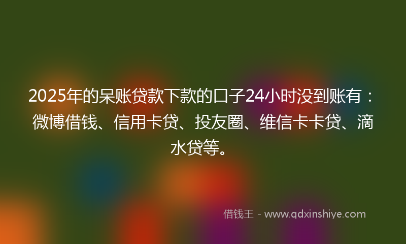 2025年的呆账贷款下款的口子24小时没到账有：微博借钱、信用卡贷、投友圈、维信卡卡贷、滴水贷等。