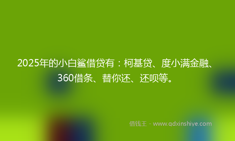2025年的小白鲨借贷有：柯基贷、度小满金融、360借条、替你还、还呗等。