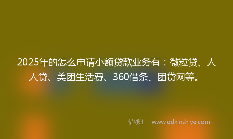 2025年的怎么申请小额贷款业务有：微粒贷、人人贷、美团生活费、360借条、团贷网等。