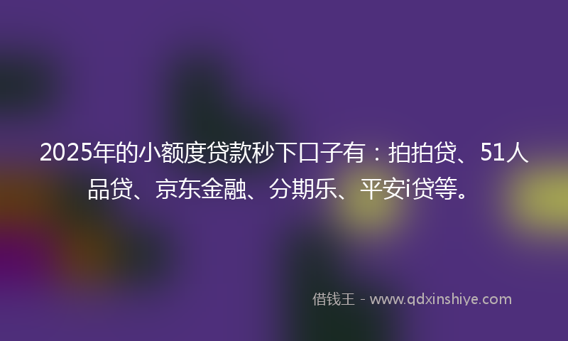 2025年的小额度贷款秒下口子有：拍拍贷、51人品贷、京东金融、分期乐、平安i贷等。