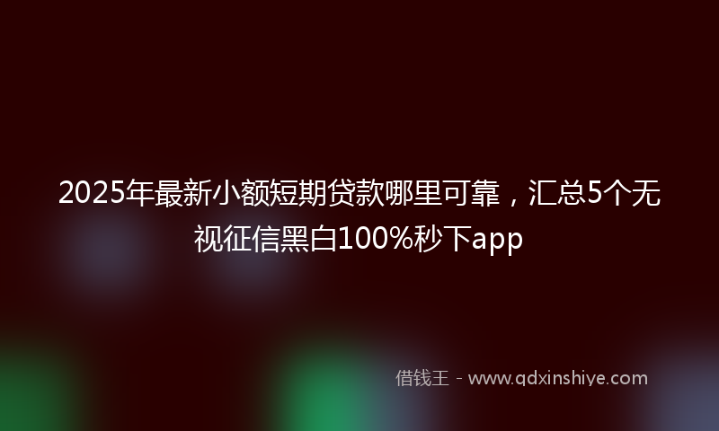 2025年最新小额短期贷款哪里可靠，汇总5个无视征信黑白100%秒下app